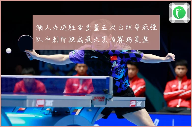 湖人九连胜含金量五次击败争冠强队冲刺阶段成最大黑马赛场复盘