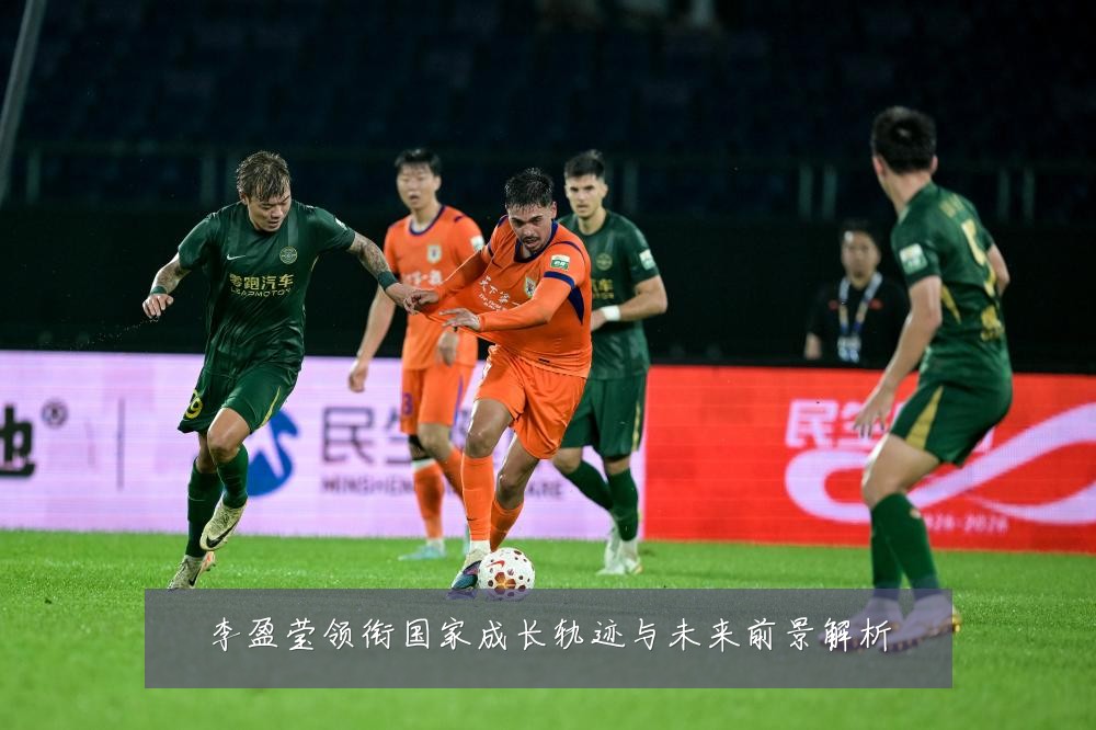 李盈莹领衔国家成长轨迹与未来前景解析